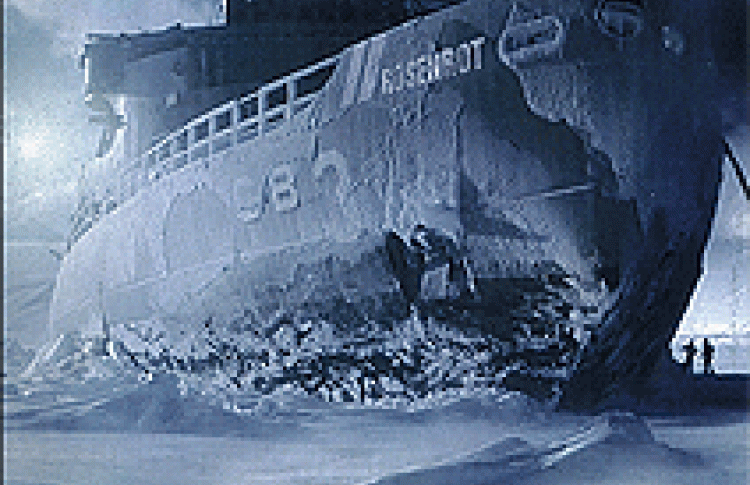 Rosenrot