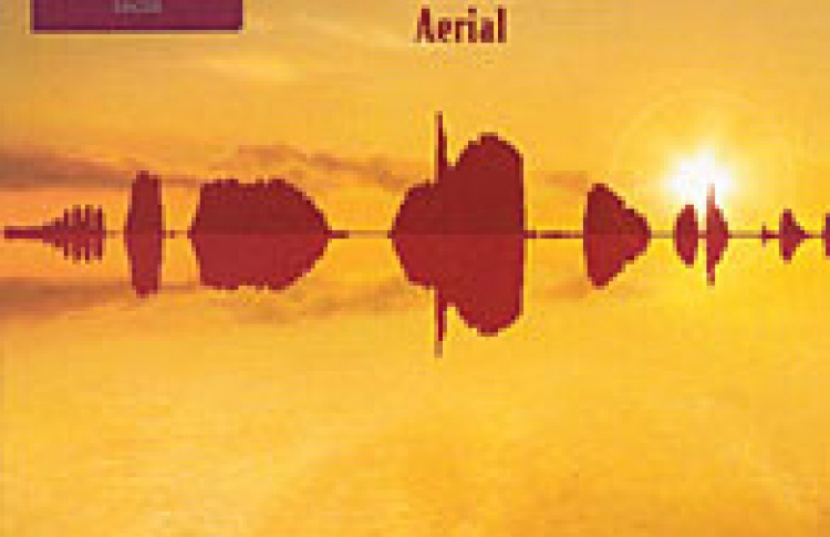 Aerial