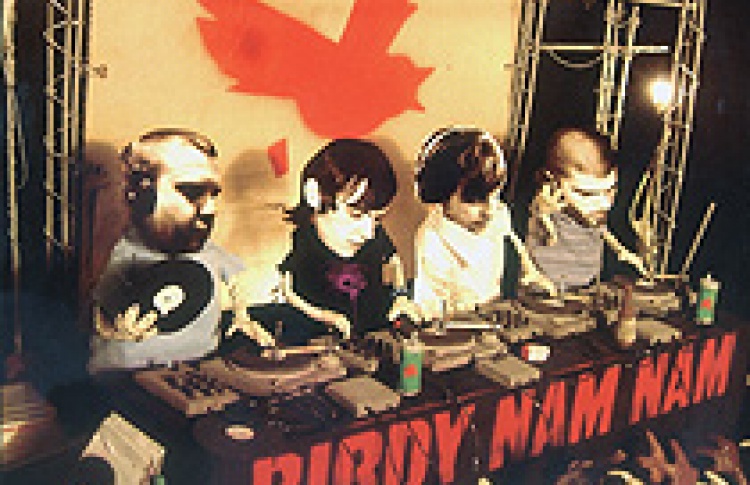 Birdy Nam Nam