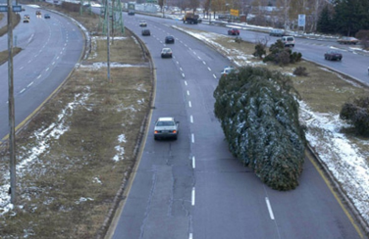 Перевернутая елка