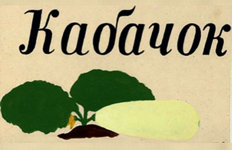 Коллекция и архив Вадима Захарова