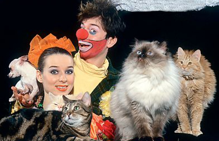 Клоуны и кошки