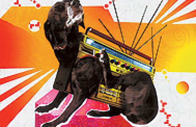 Crazy Itch Radio