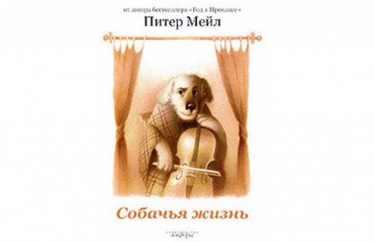 Собачья жизнь
