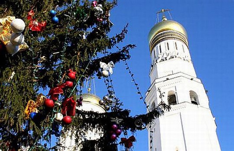 Главную елку страны установят 20 декабря