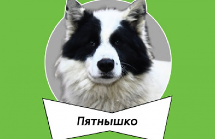 Хочу домой!