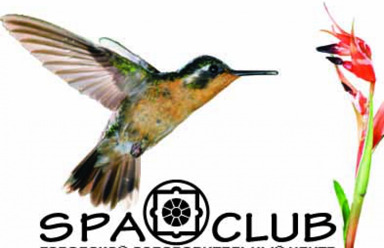 Spa club