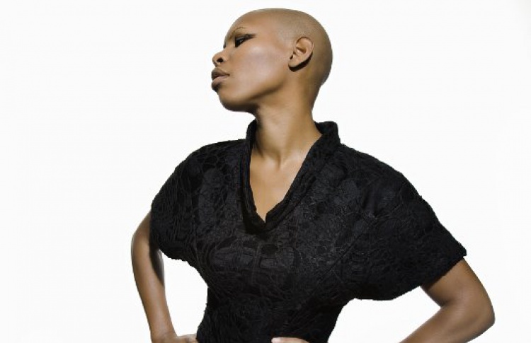 Скин (Skunk Anansie)
