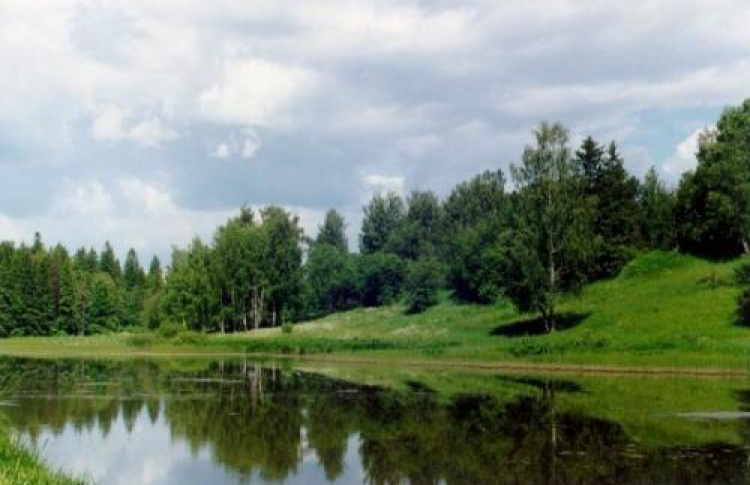 7 лучших идей для пикника за городом