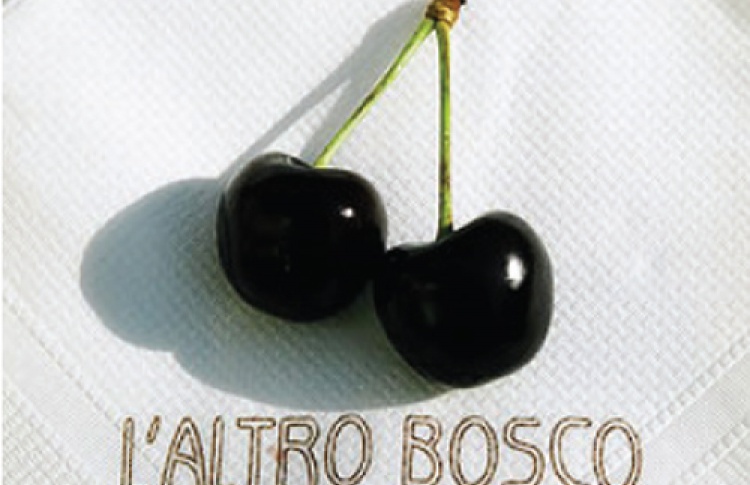 Новый дисконт Bosco вот-вот откроется