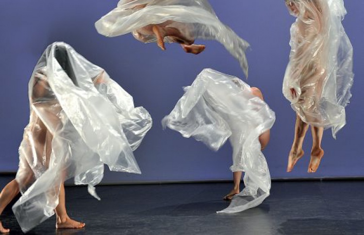 Creation 2010