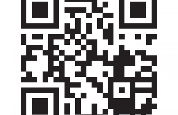 Афиши из QR-кода от «Космонавта»