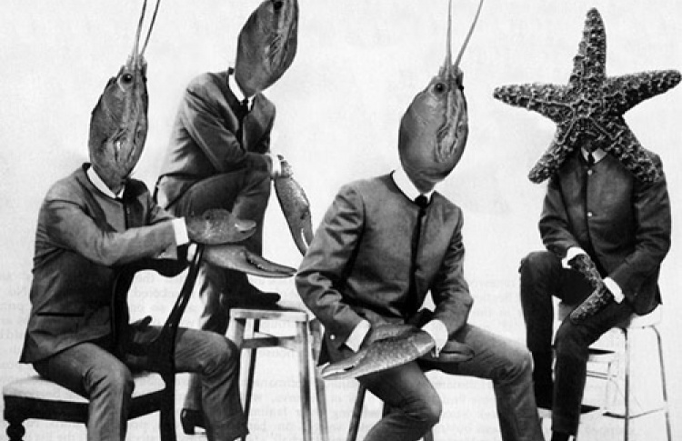 The Residents (США)