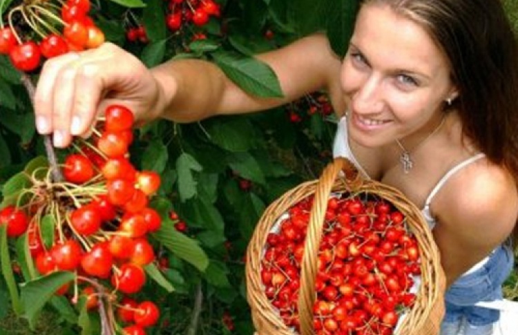 Кража еды для немедленного употребления не преследуется по закону