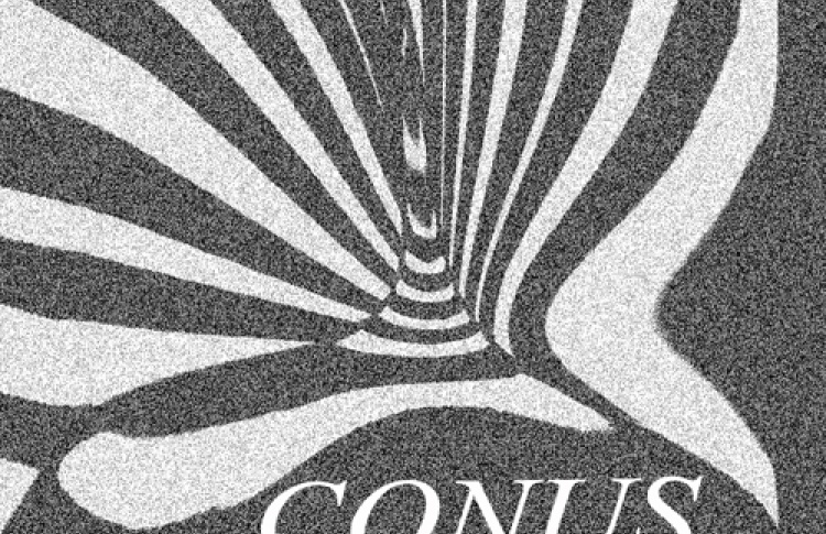 Conus