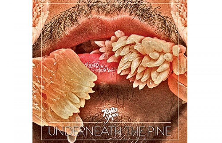 Диск Toro Y Moi