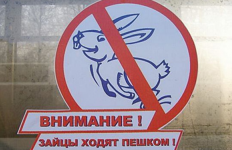 На сайте департамента транспорта появится список «зайцев»