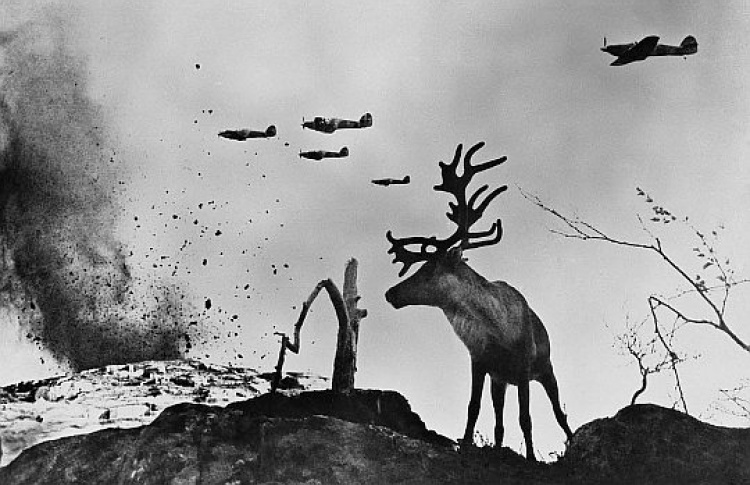 Великая Отечественная война в фотографиях великого фотографа