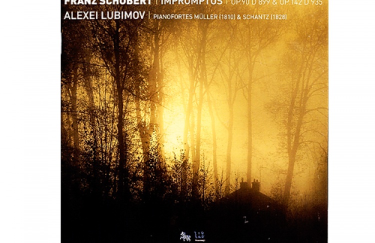 Franz Schubert: Impromtus Alexei Lubimov Zig-Zag Territoires