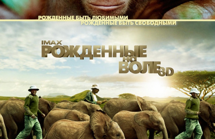 Рожденные на воле