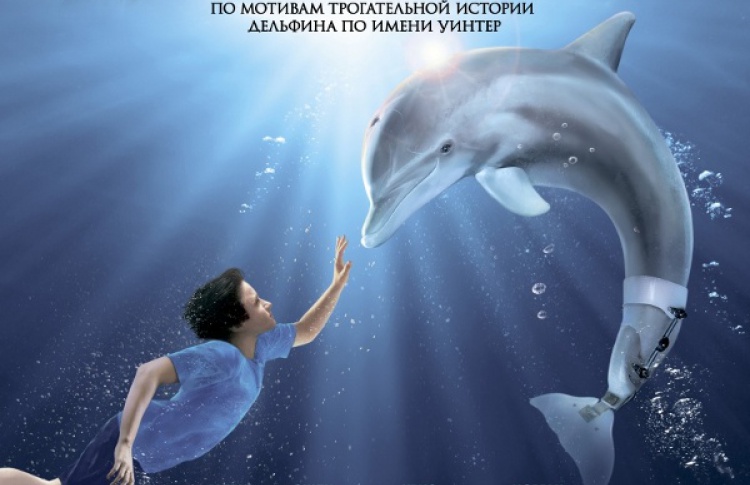 История дельфина