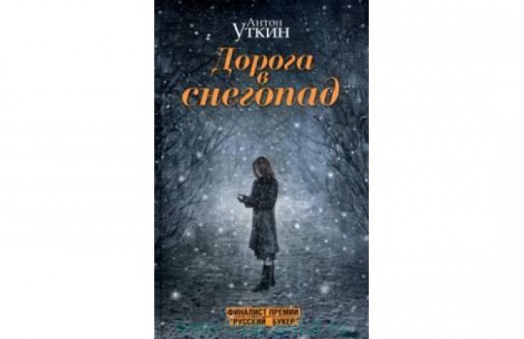 Дорога в снегопад