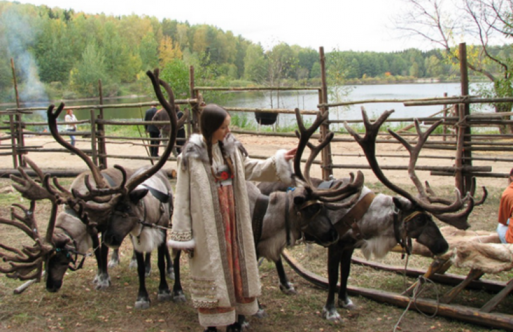 В краю северных оленей