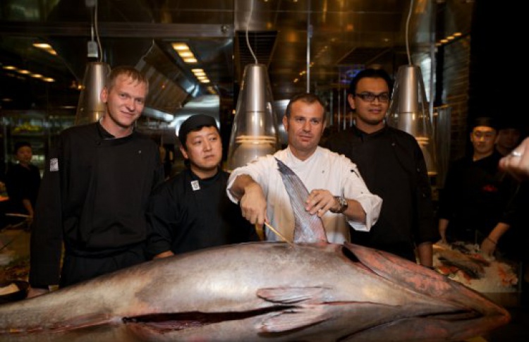 Tuna show