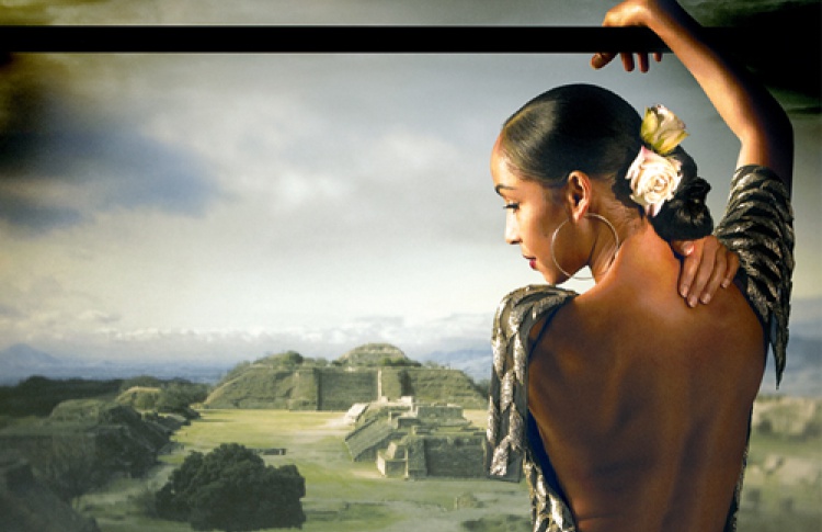 Концерт Sade