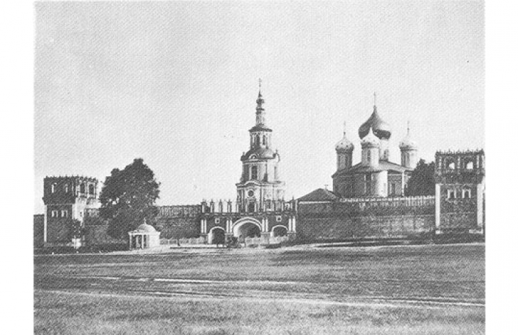 Гороховое поле