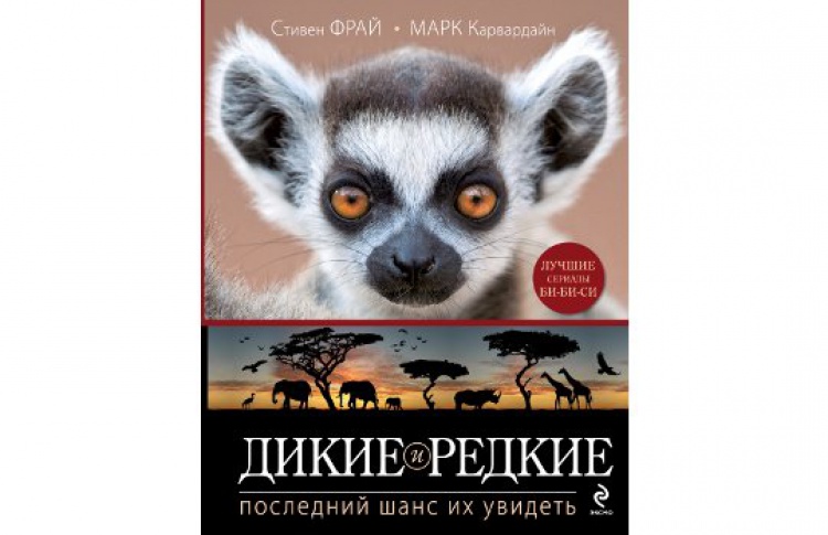 Дикие и редкие. Последний шанс их увидеть