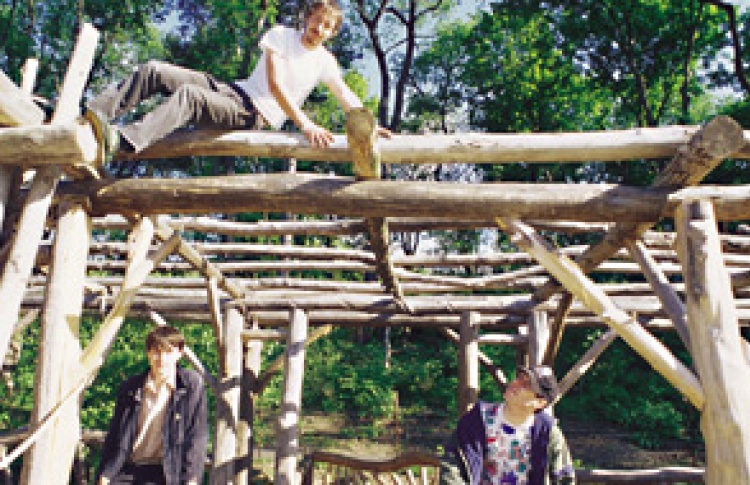 Animal Collective