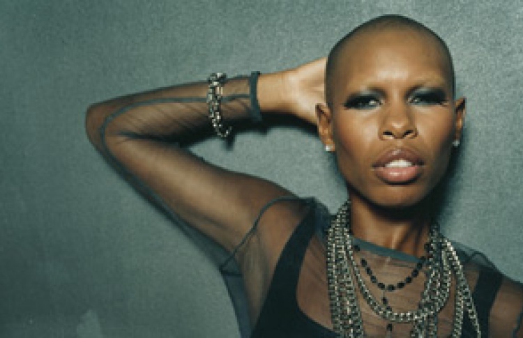 Skin (экс- "Skunk Anansie") + Esthetic Education