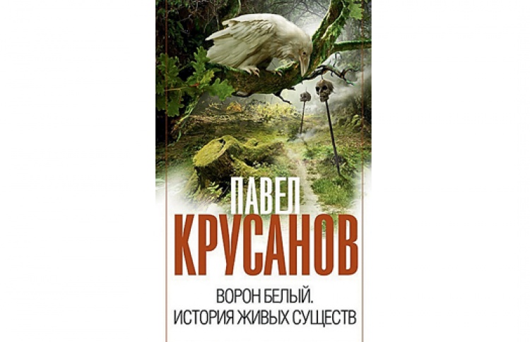Ворон белый