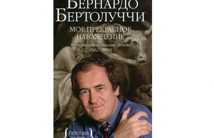 Мое прекрасное наваждение