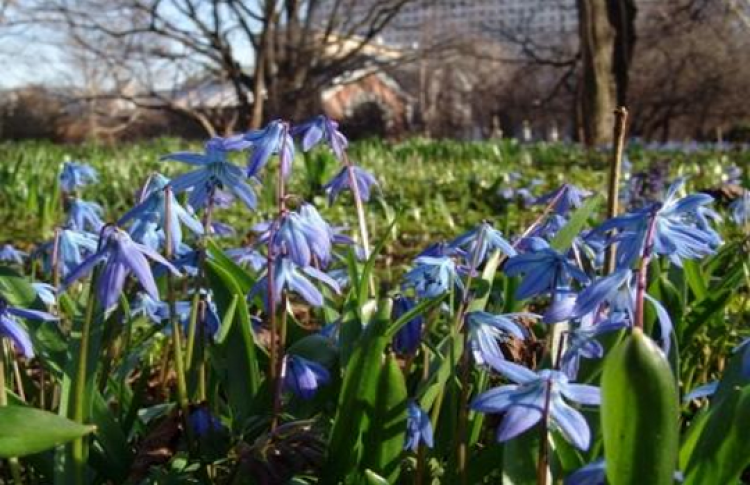 На крыльях ветра. Сказки народов мира