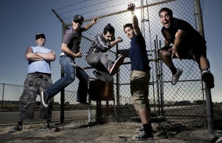 Zebrahead