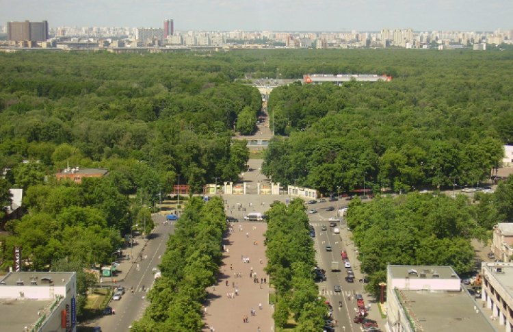 Паркfest в ПКиО «Сокольники»