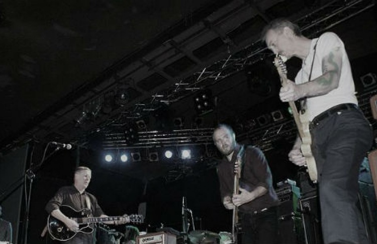 Swans