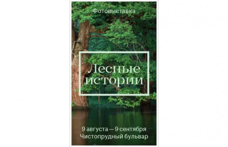 Выставка «Лесные истории»: Скажи природе спасибо