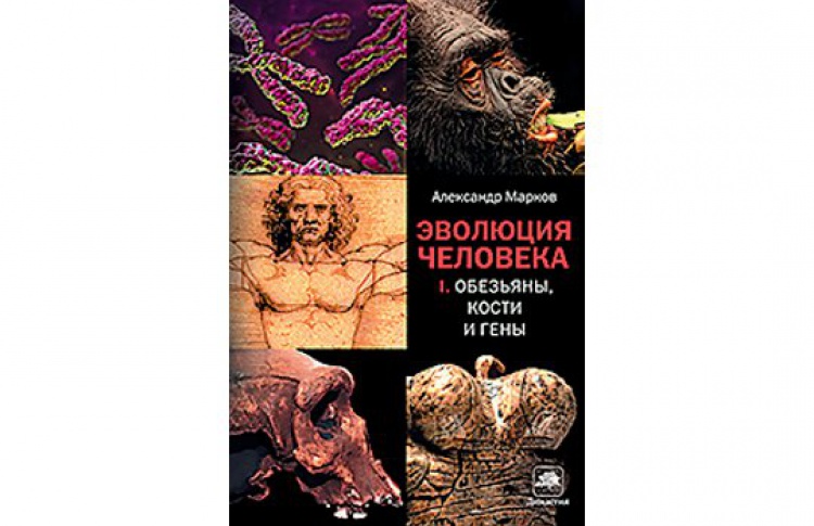 Эволюция человека