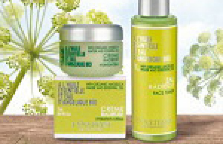 Подарок от L'Occitane
