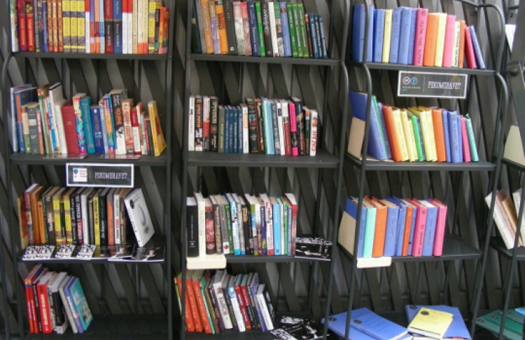 Книга в дорогу