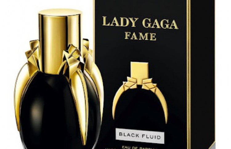 Lady Gaga Fame