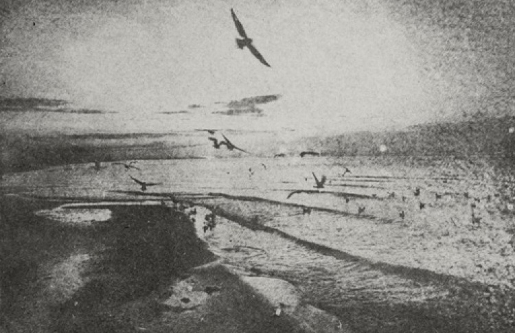Артур Ионаускас "Путешествие вдоль моря"
