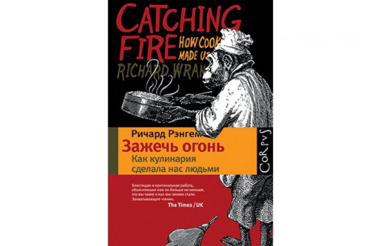 Зажечь огонь. Как кулинария сделала нас людьми