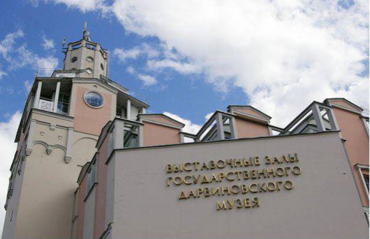 В первую неделю января городские музеи будут работать бесплатно