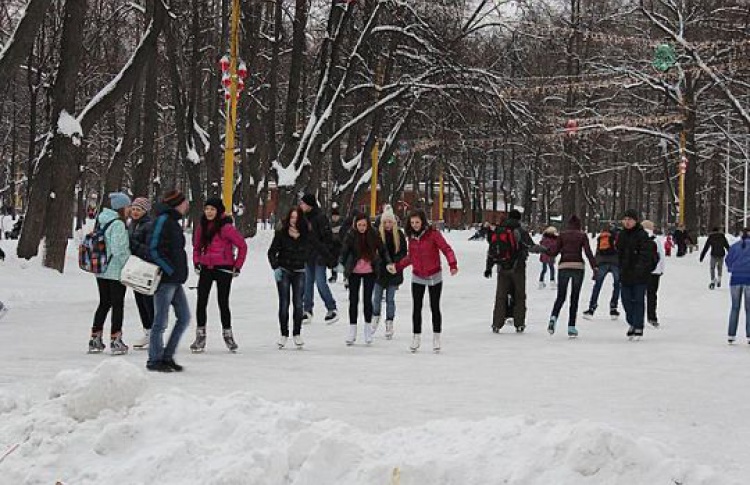 Парк 2014