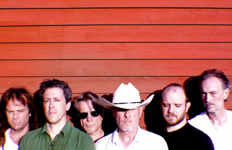 Swans