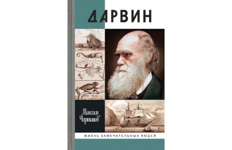 Дарвин